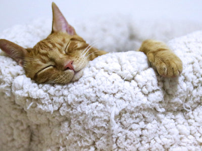 8 Unusual Ways to Fall Asleep Quickly! - Clearmindshypnotherapy