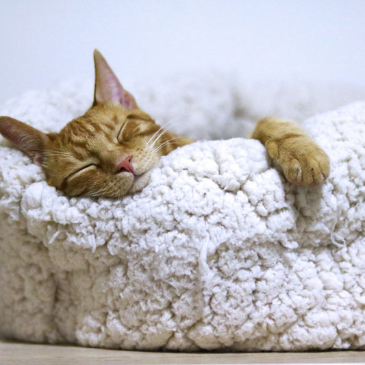 8 Unusual Ways to Fall Asleep Quickly! - Clearmindshypnotherapy