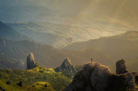 Peaceful spring meadow — hypnotherapy for hay fever and allergic rhinitis
