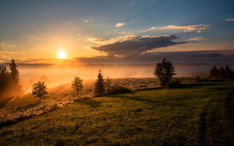 A peaceful sunrise over a calm landscape representing a fresh morning start and freedom from the morning cigarette habit